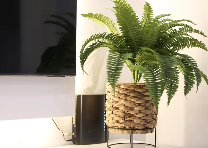 公寓 A Casinha Avo Mariana 53